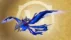 مانت پرنده Voidwing Dragonhawk در اکسپنشن میدنایت نسخه اپیک بازی ورلد آف وارکرفت 